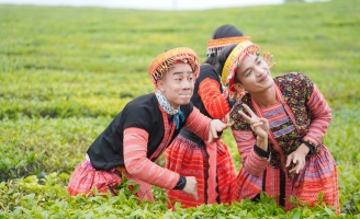 Bộ ba Mạc Văn Khoa – Đỗ Duy Nam – Tú Hảo cùng Ẩm Thực Kỳ Thú ghé thăm đồi chè xanh bát ngát