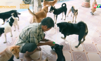 Câu chuyện truyền cảm hứng của người đàn ông vô gia cư, nhặt ve chai nuôi đàn chó 30 con