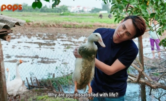 Huỳnh Lập thử thách cưỡi trâu và ca sĩ Long Nhật