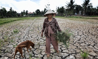 Nghệ sĩ kêu gọi giúp người miền Tây chống hạn mặn