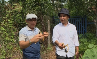 Nghệ sĩ Trung Dân hé lộ tuổi thơ “nổi loạn” khiến MC Quyền Linh cười ngất