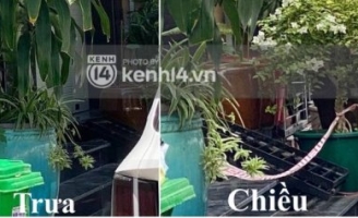 Nhà 1 ca sĩ nổi tiếng có người nghi F0 bị phản ánh 