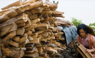 Nữ Ca sĩ Phương Anh bolero lấn sân sang diễn xuất trong MV Phận má hồng