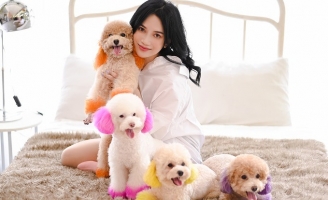 Sĩ Thanh kể chuyện chăm nom đàn cún “trăm triệu” như con ruột 